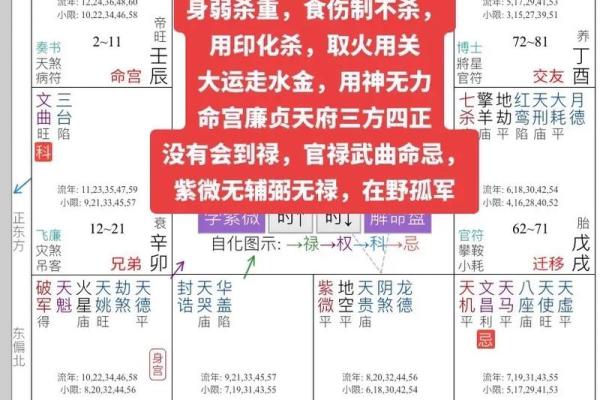 紫薇斗数能用吗