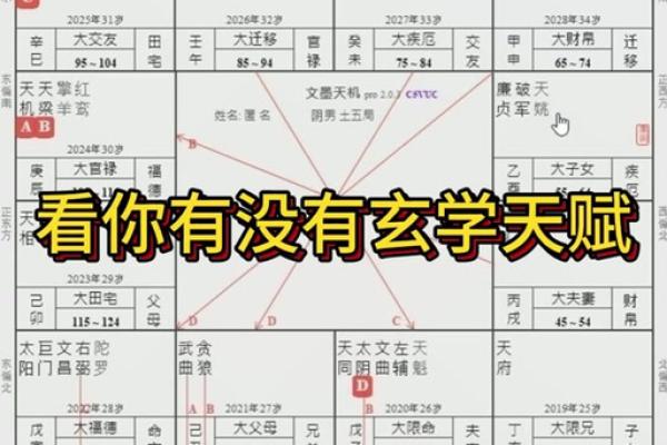 紫薇豆斗数软件