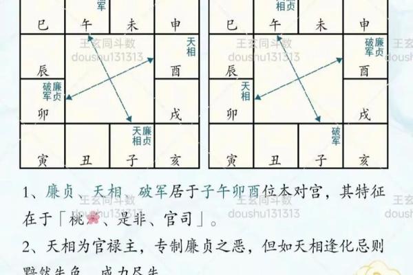紫薇斗数解厄