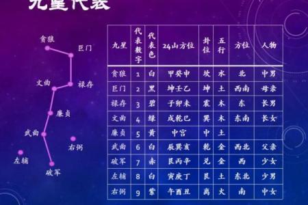 九星命理算命视频