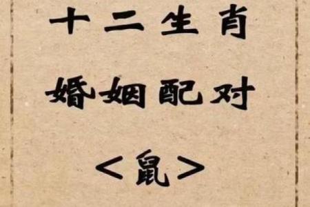 1996年属什么生肖配对