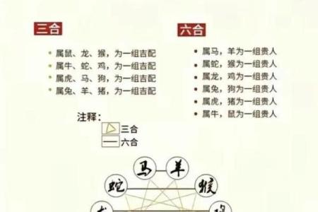 生肖看八字属虎人和属马人是不是八字相合？在一起好吗？
