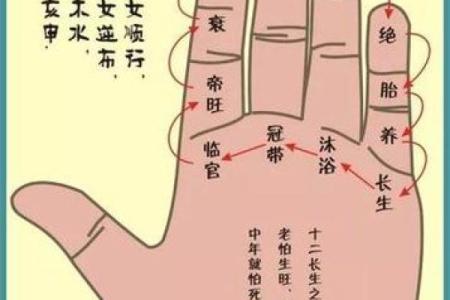 手相算命破解