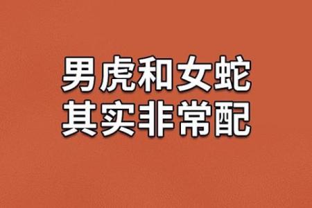 八字合婚虎男和什么生肖蕞配