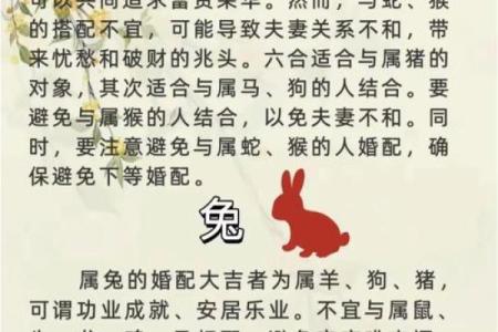 属猪男和什么属相配吗，属猪男和什么属相配对？