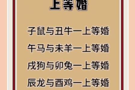 兔鼠今年结婚吉日 属兔鼠年结婚好不好？