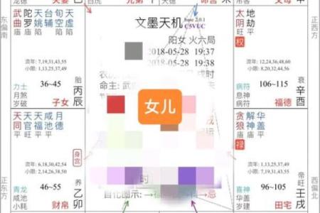 七政四余紫薇斗数