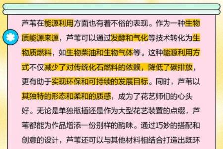 芦苇风水讲解