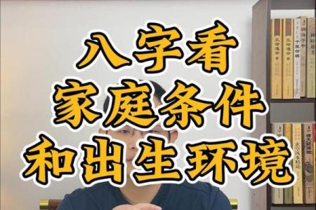 八字里养
