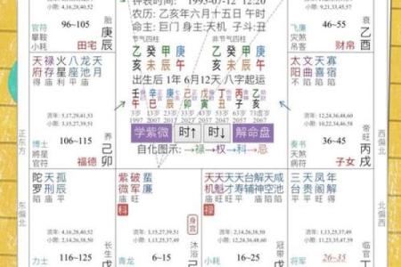紫薇豆斗数软件