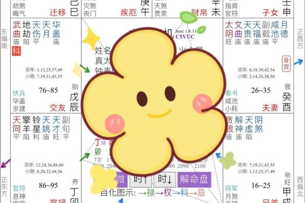 紫薇斗数流年太阳化忌