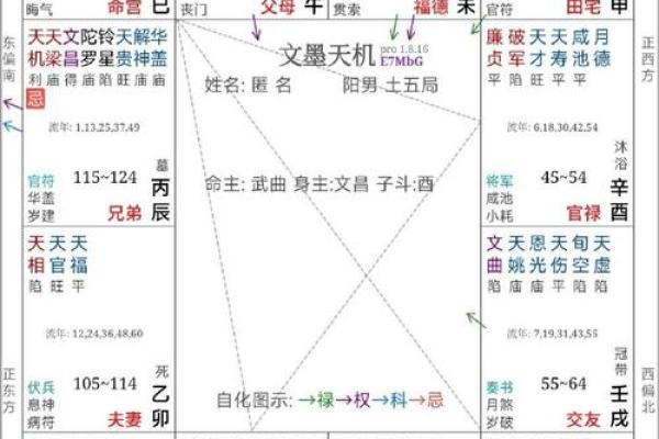 紫薇斗数会照什么意思