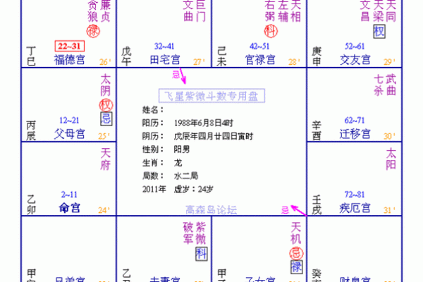 紫薇斗数会照什么意思