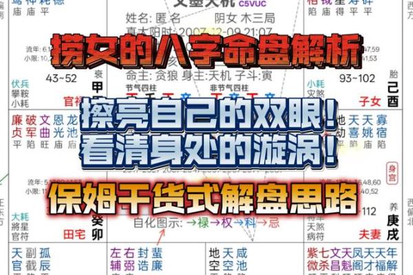 八字命盘养是什么意思