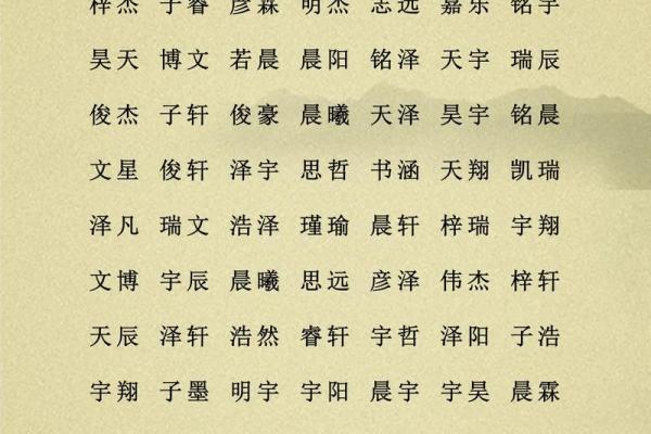 2019年5月25号子时出生的男孩要怎么起名字姓名