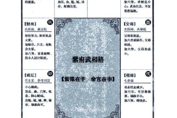 紫薇斗数当兵的盘
