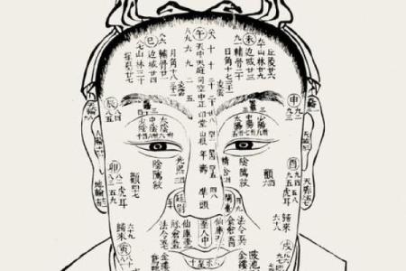 日本面相学：下巴算命