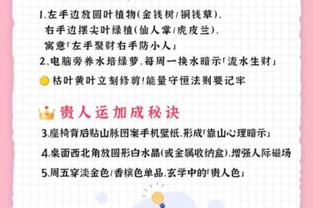 办公室风水秘经
