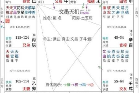 紫薇斗数会照什么意思