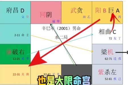 康熙紫薇斗数命盘