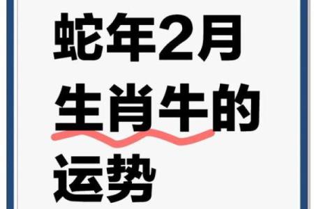 生肖牛的运势方位