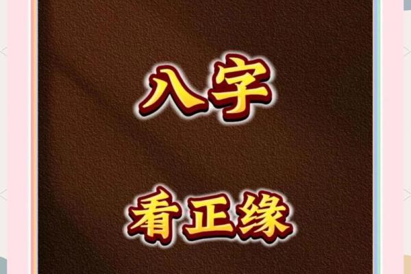姓名与八字