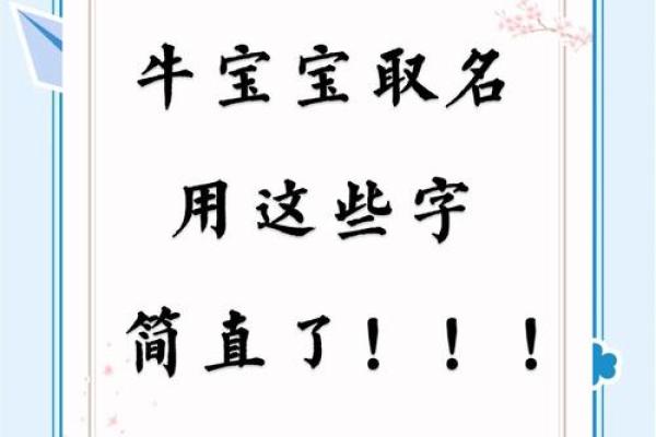 晚上12点出生的属牛男孩适合用什么字取名姓名