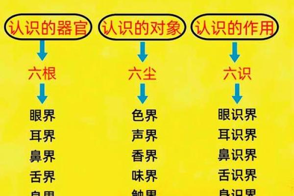 习八字真经