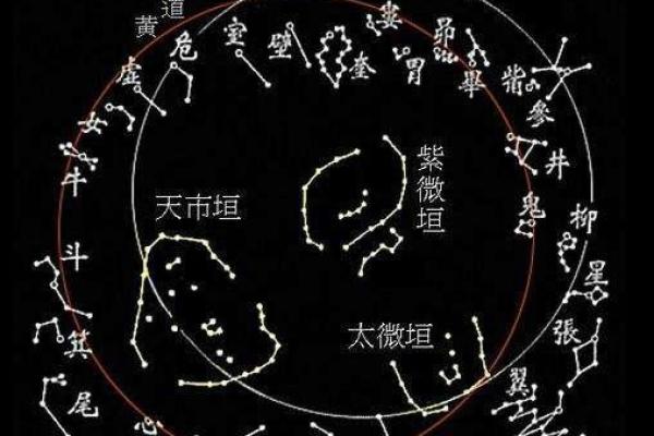 紫薇斗数的神奇