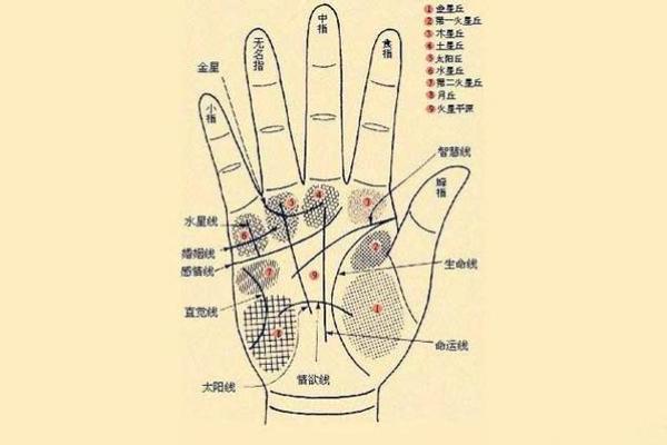 免费扫一扫看手相算命,扫一扫看手相算命