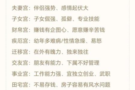 紫薇斗数工作