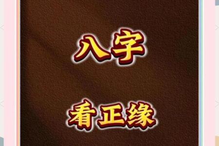 姓名与八字
