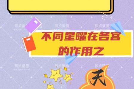 成龙紫薇斗数