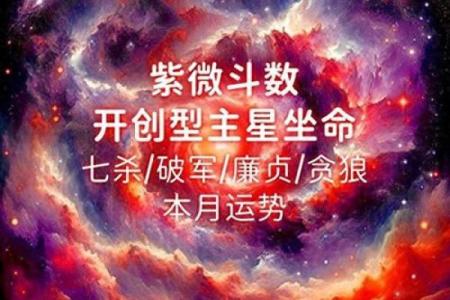 紫薇斗数批流月