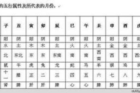 十二生肖算命知道自己的命运如何