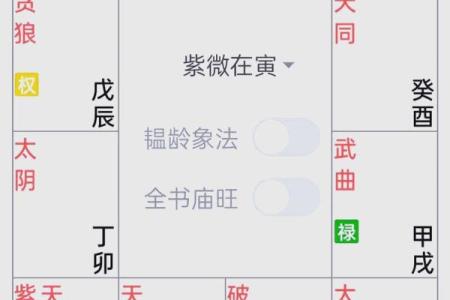 紫薇斗数文曲旺
