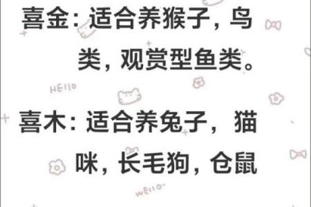 八字火盛之人命运