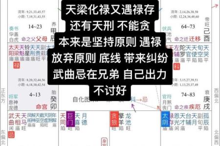 紫微斗数看谁容易跟人一见钟情？哪些主星男生最值得你付出真心？