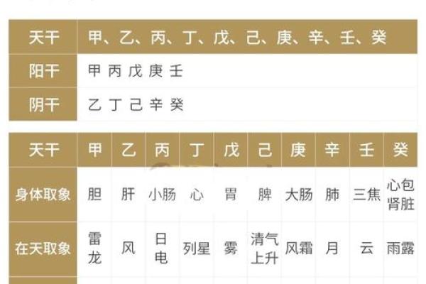八字命理测算中天干的作用