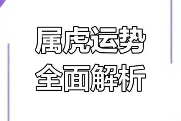 属虎办公室风水布局 几个简单方法可助你招来大好运