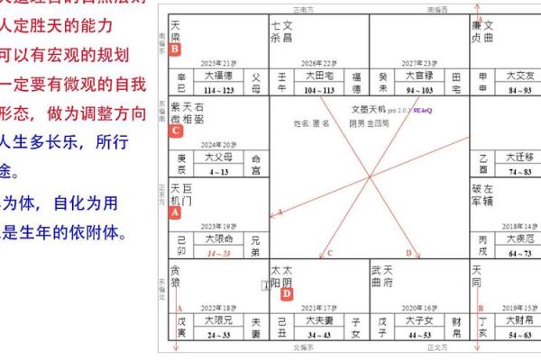 人生紫薇斗数