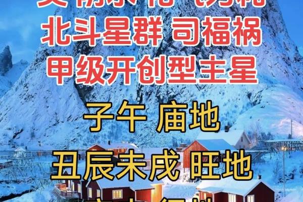 人生紫薇斗数