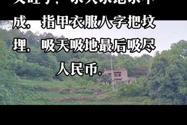 中国生基风水丰盛人生的追求