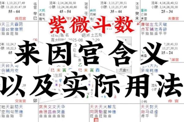 紫薇斗数命宫大耗