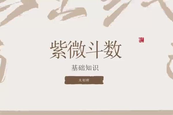 武广盛紫薇斗数