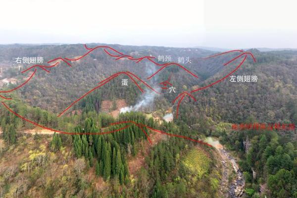 最发人丁的坟地风水