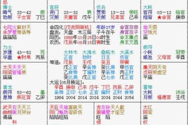 辰宫紫薇斗数