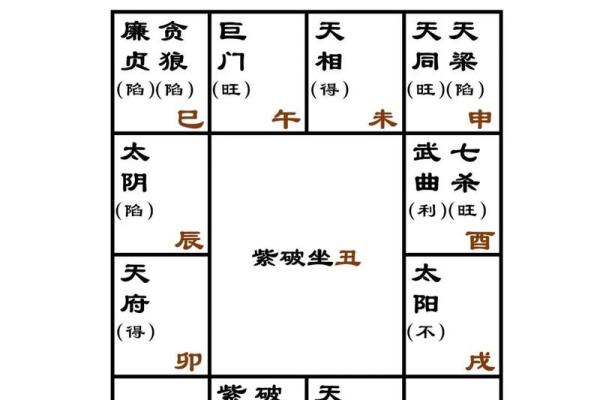 辰宫紫薇斗数