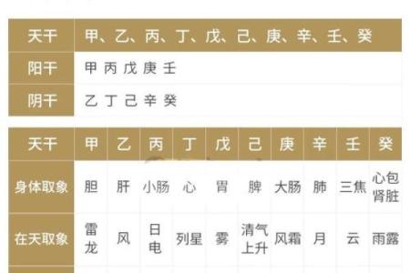 八字命理测算中天干的作用