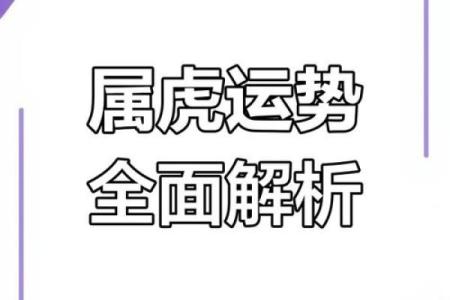 属虎办公室风水布局 几个简单方法可助你招来大好运